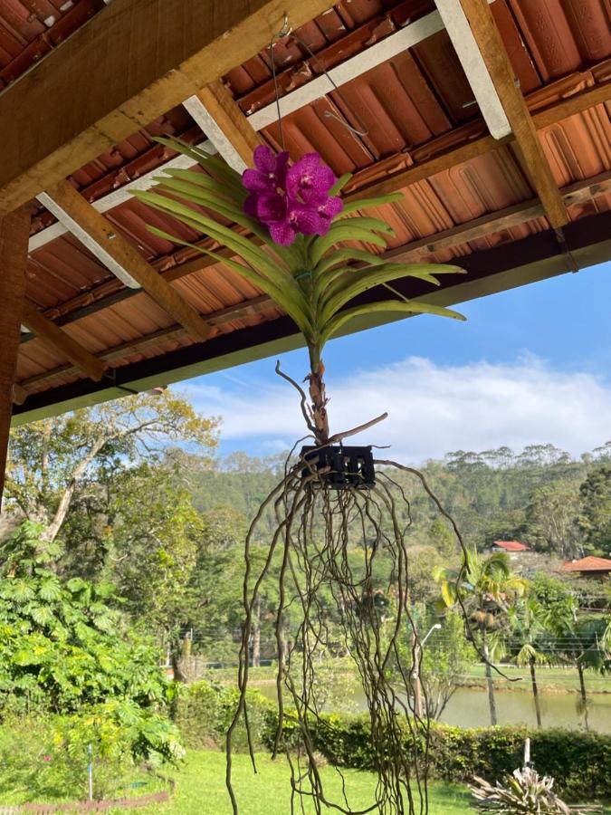 Casa Na Serra Villa Teresópolis Exteriör bild